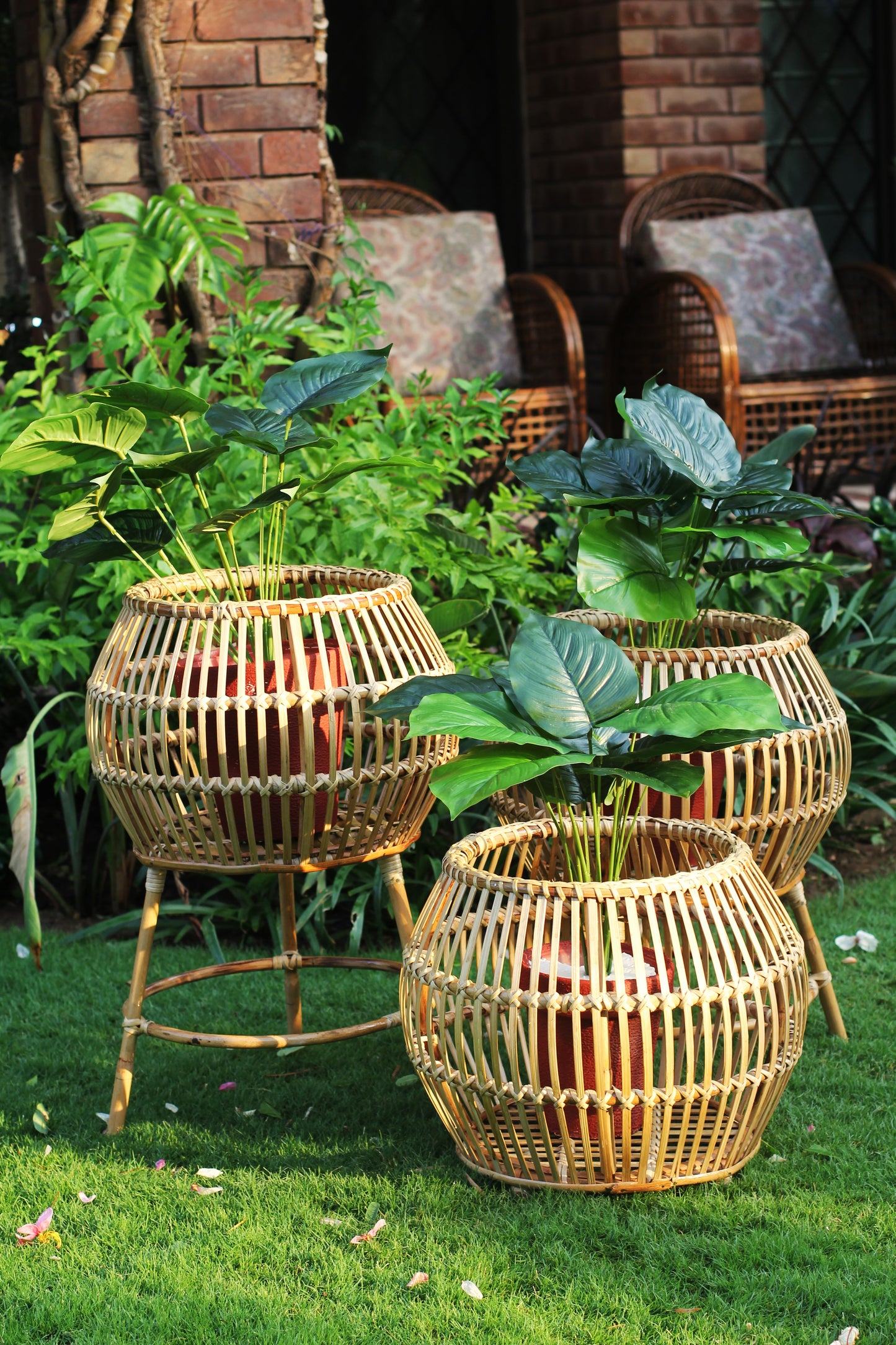 Halo Planter Basket (Small)