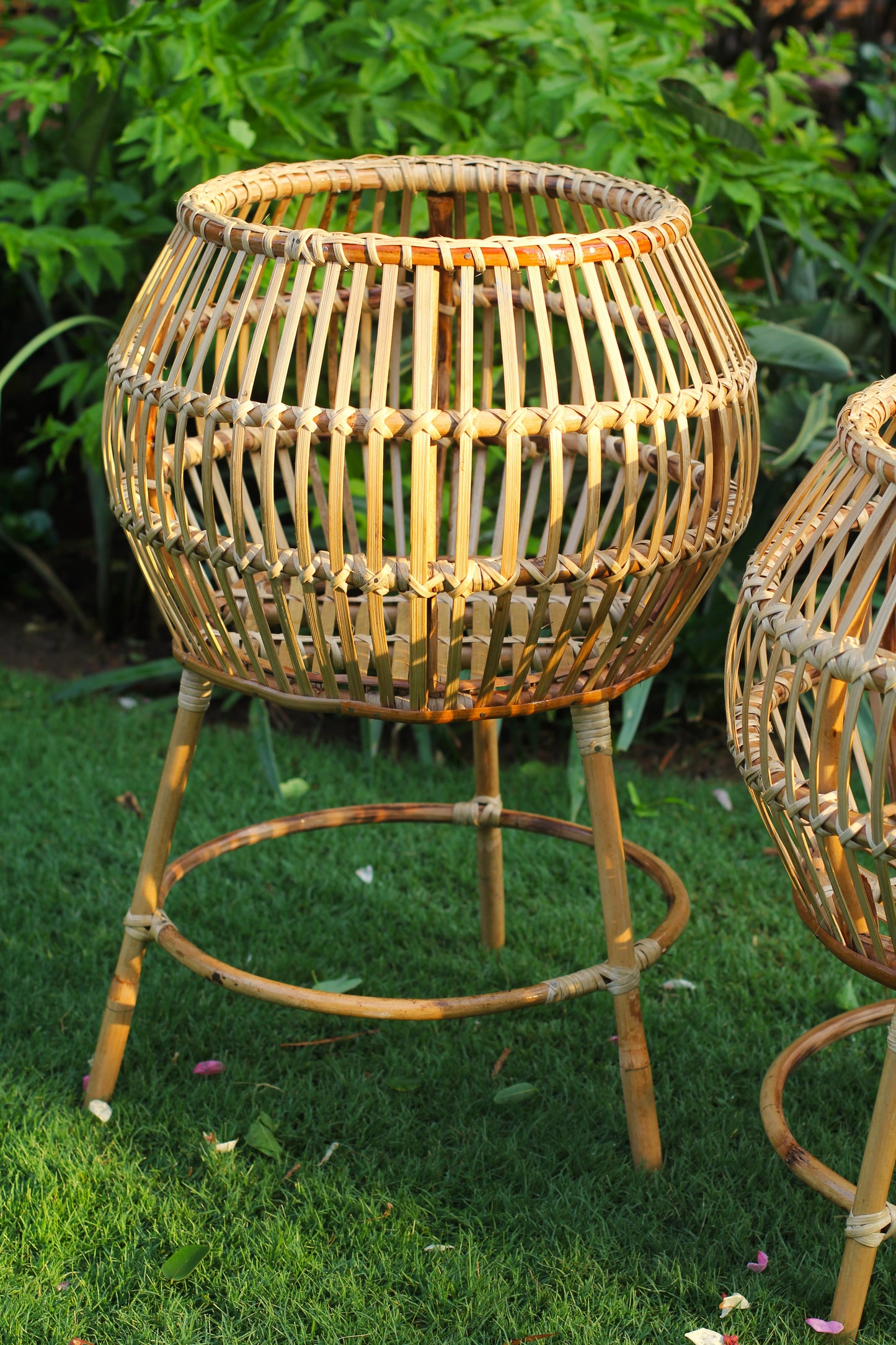 Halo Planter Basket (Small)