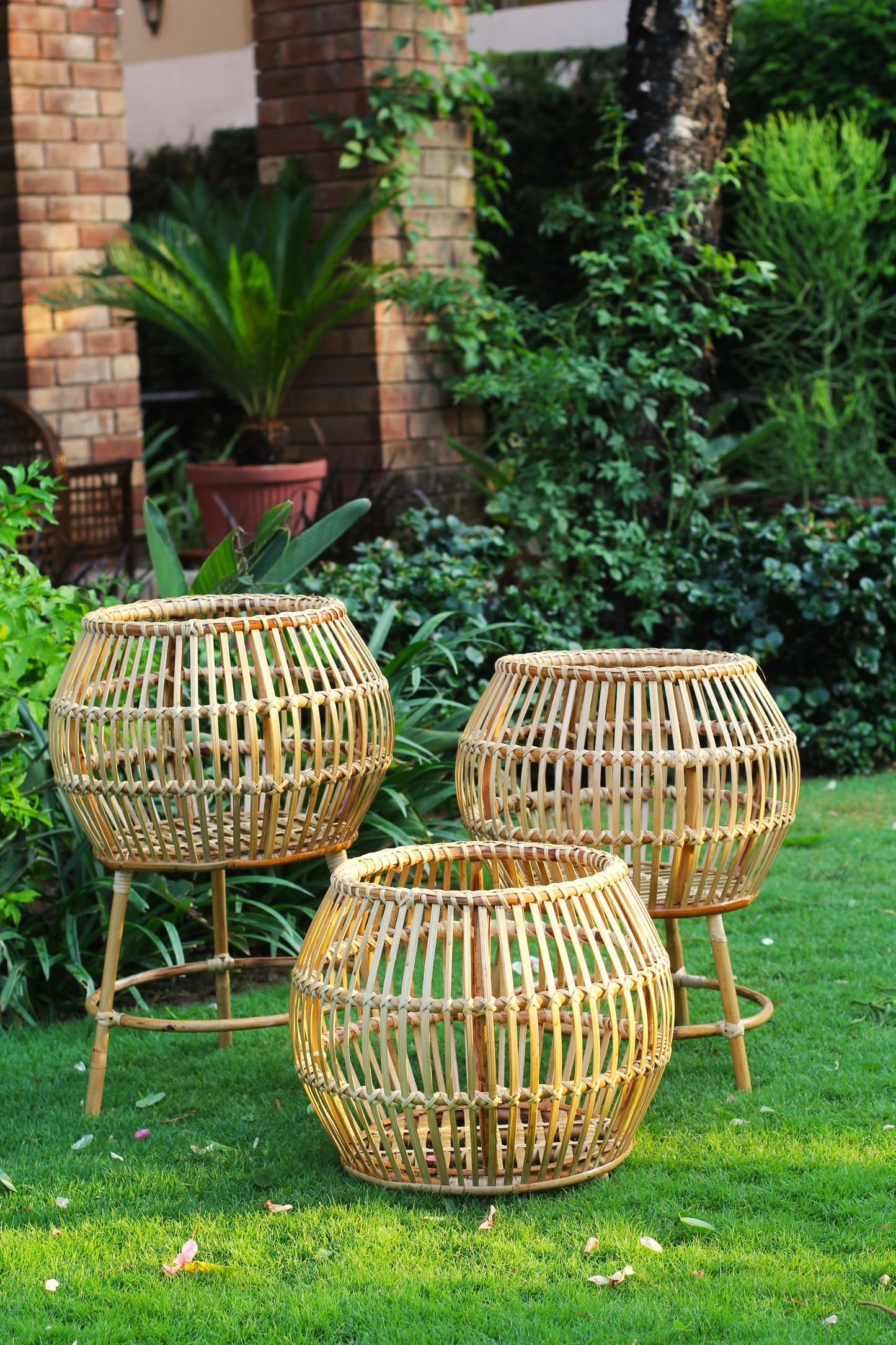 Halo Planter Basket (Small)