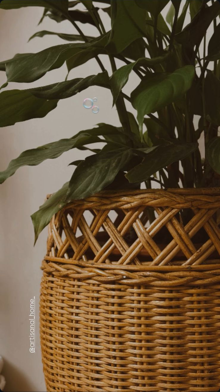 Terra Planter