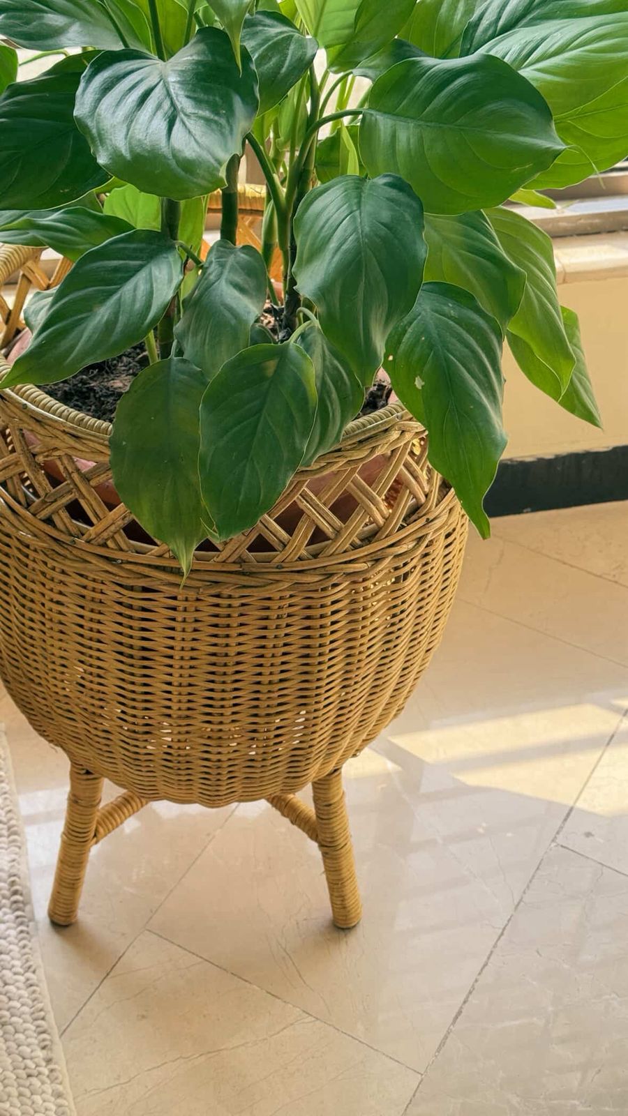 Terra Planter