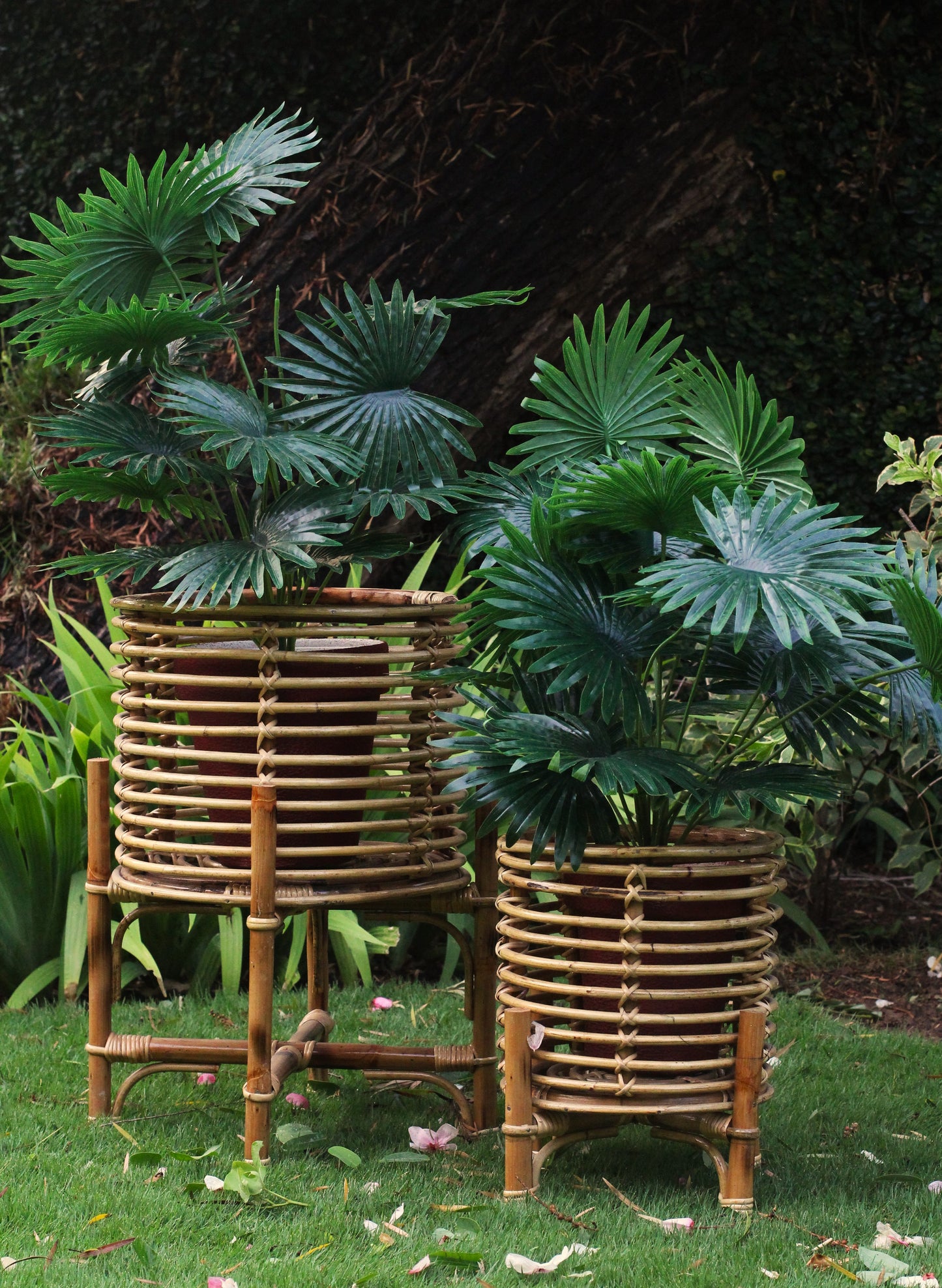 Ring Planter (Small)