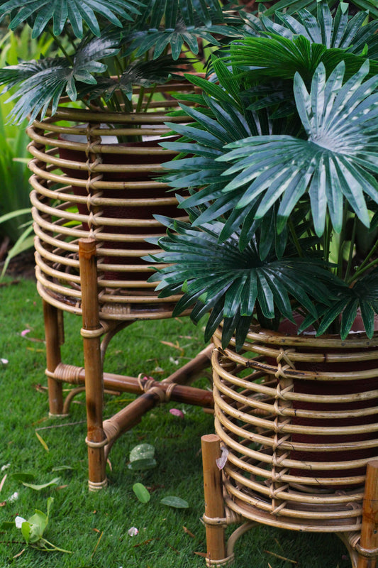 Ring Planter (Small)