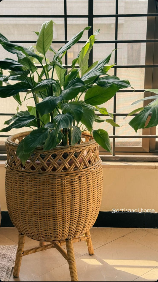 Terra Planter
