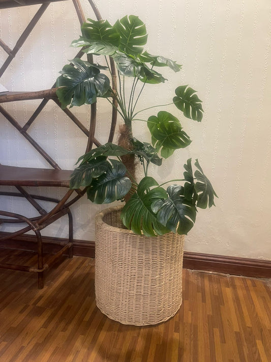 Bloom planter