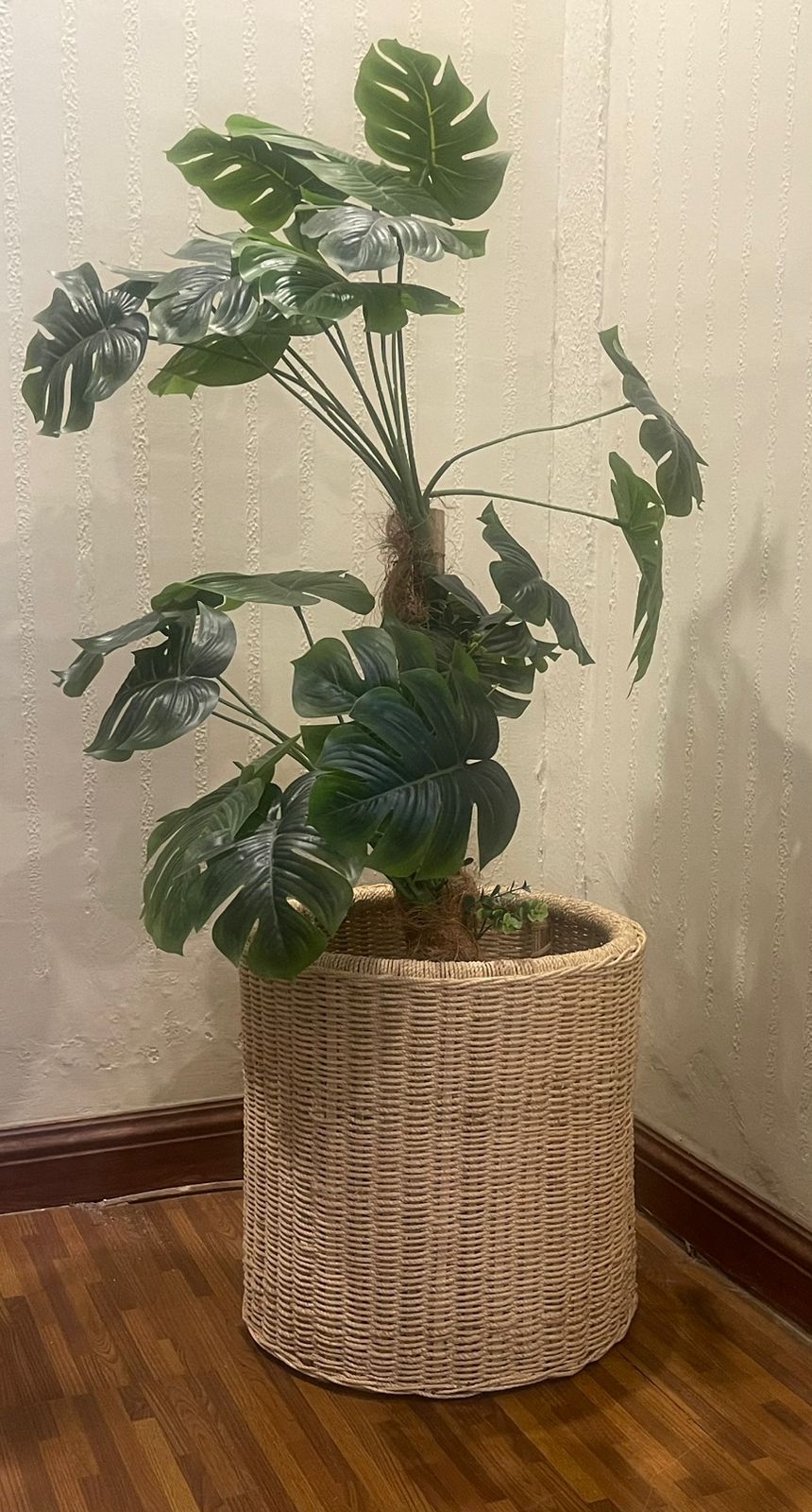 Bloom planter