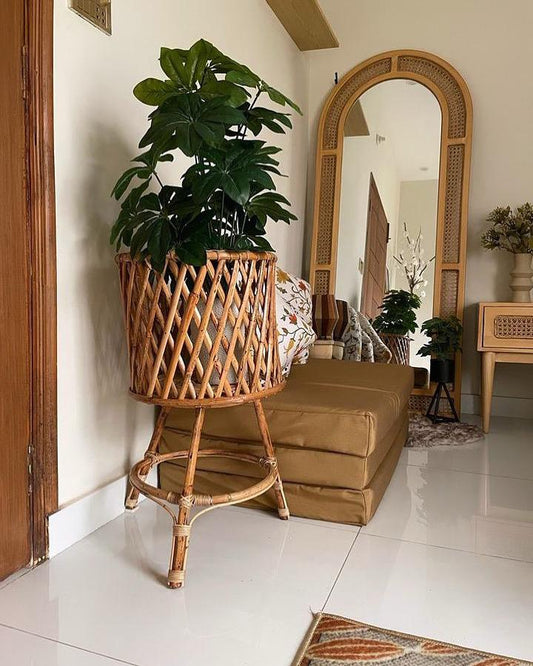 B. Cane Planter Stand (Medium)