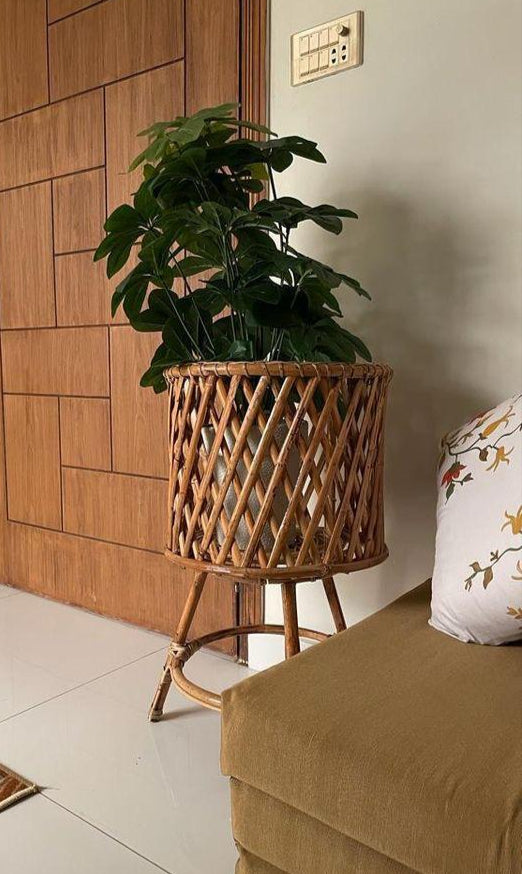 Cane Planter Stand (Small)