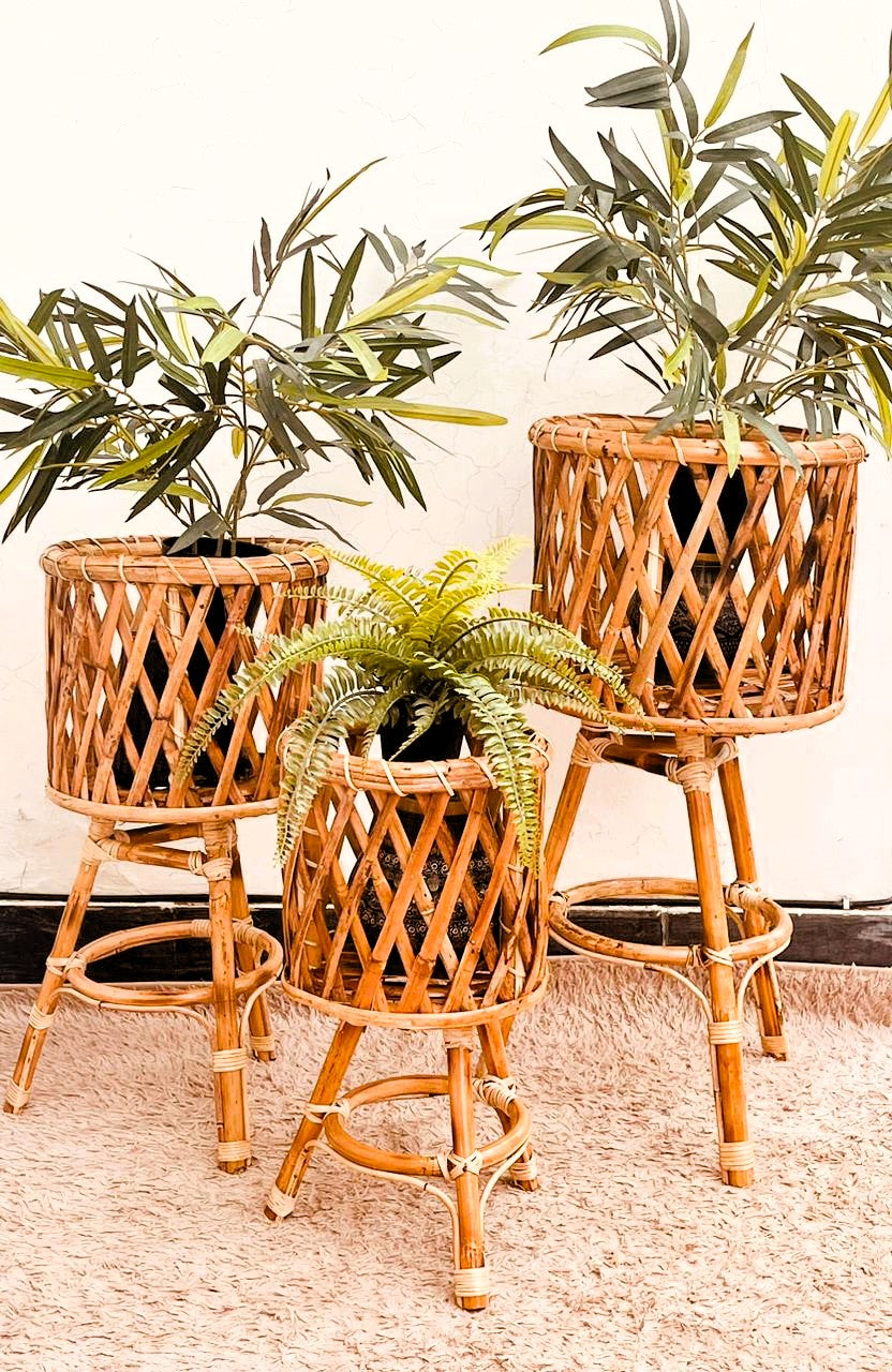 A. Cane Planter Stand (Large)